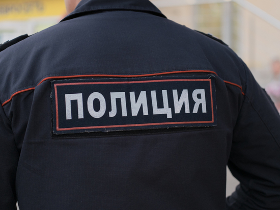 Полковника полиции, сбившего целую семью на зебре в Москве, уволили